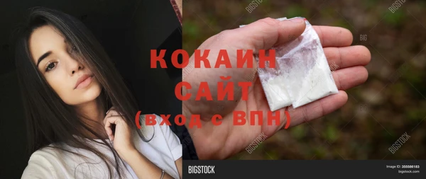 прущая мука Дмитриев