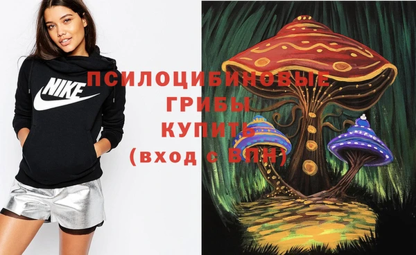 кокс Дмитровск