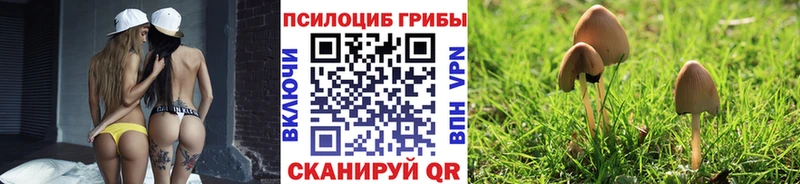 Галлюциногенные грибы прущие грибы  Купить  Озёрск 